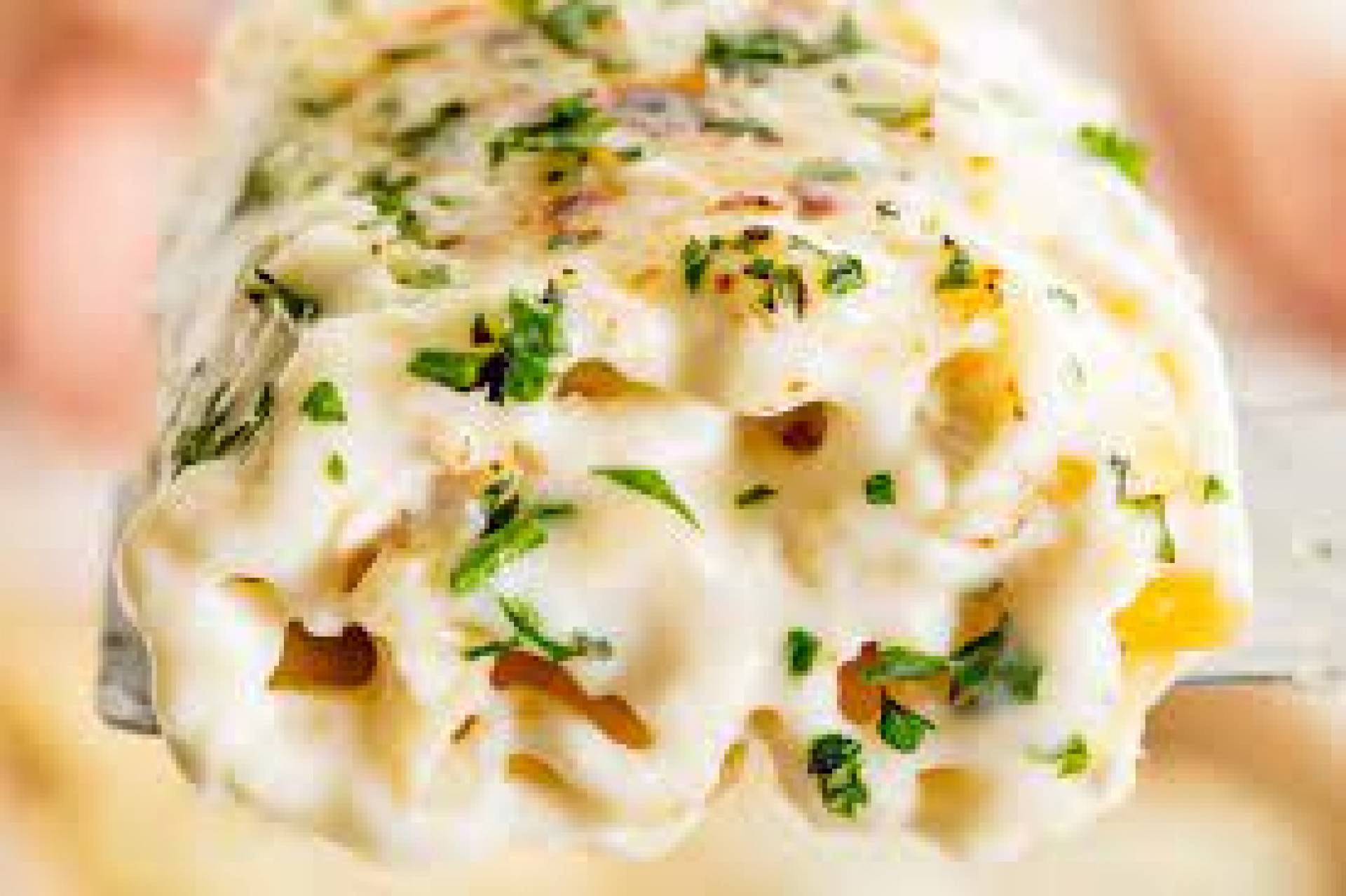 LASANA ROLLS ALFREDO