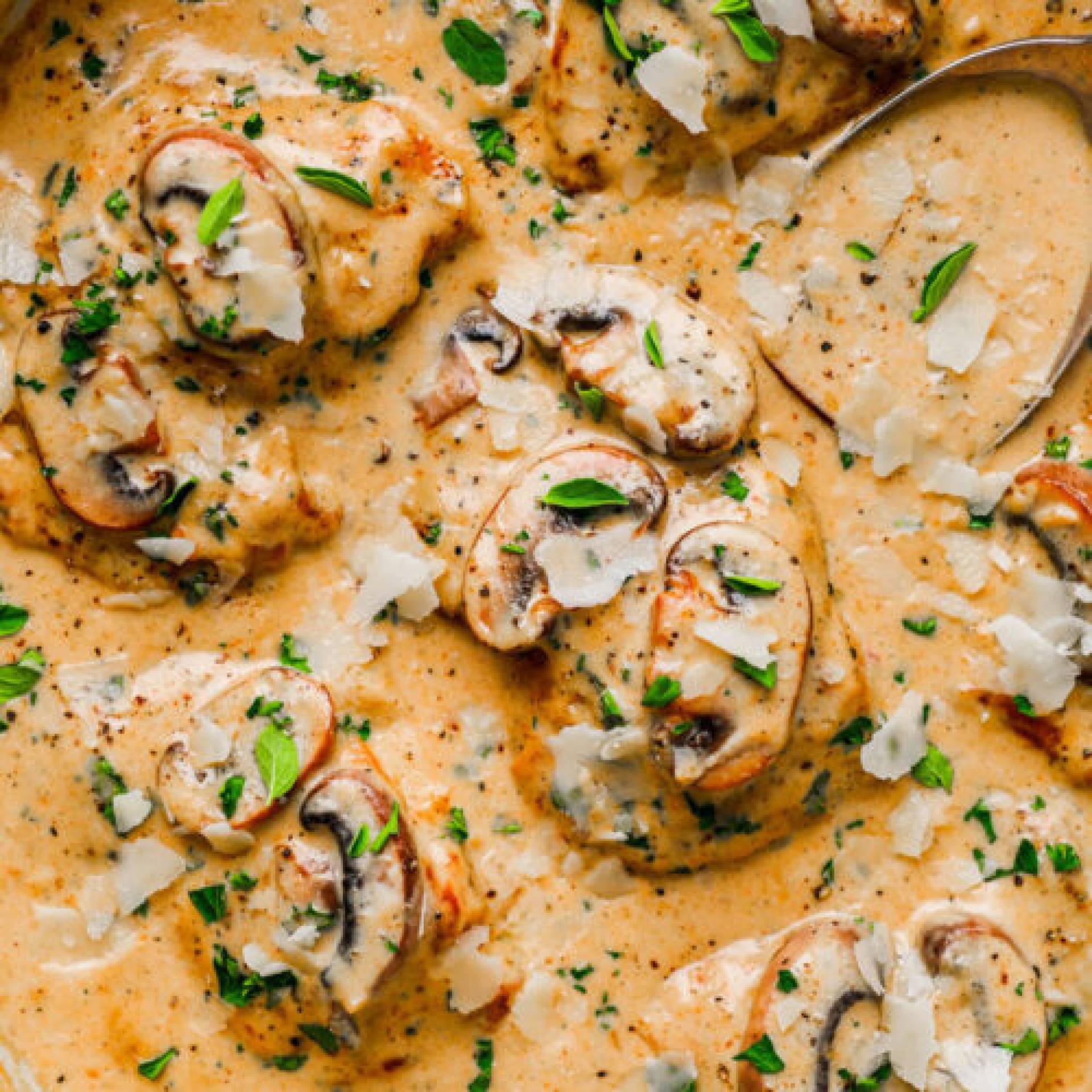 Creamy Mushroom Chicken & orzo pasta