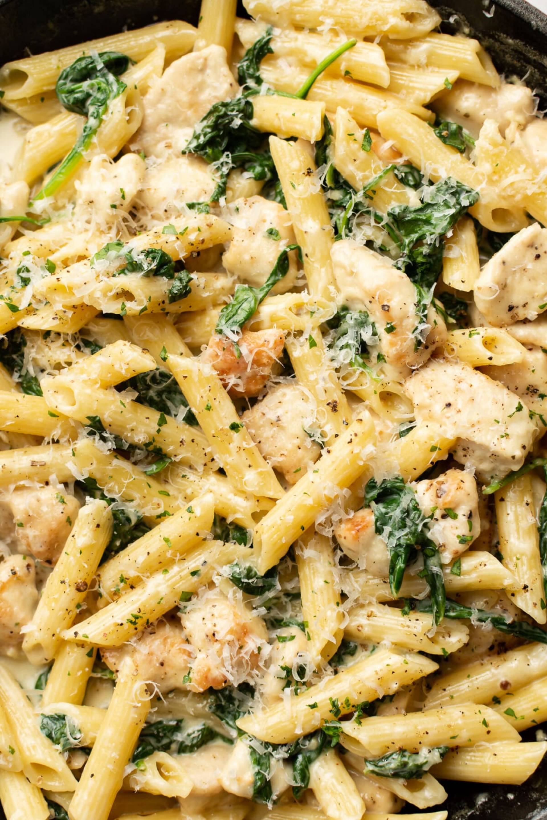 Pollo alfredo con espinaca & penne pasta